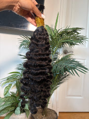 Indian Burmese curly