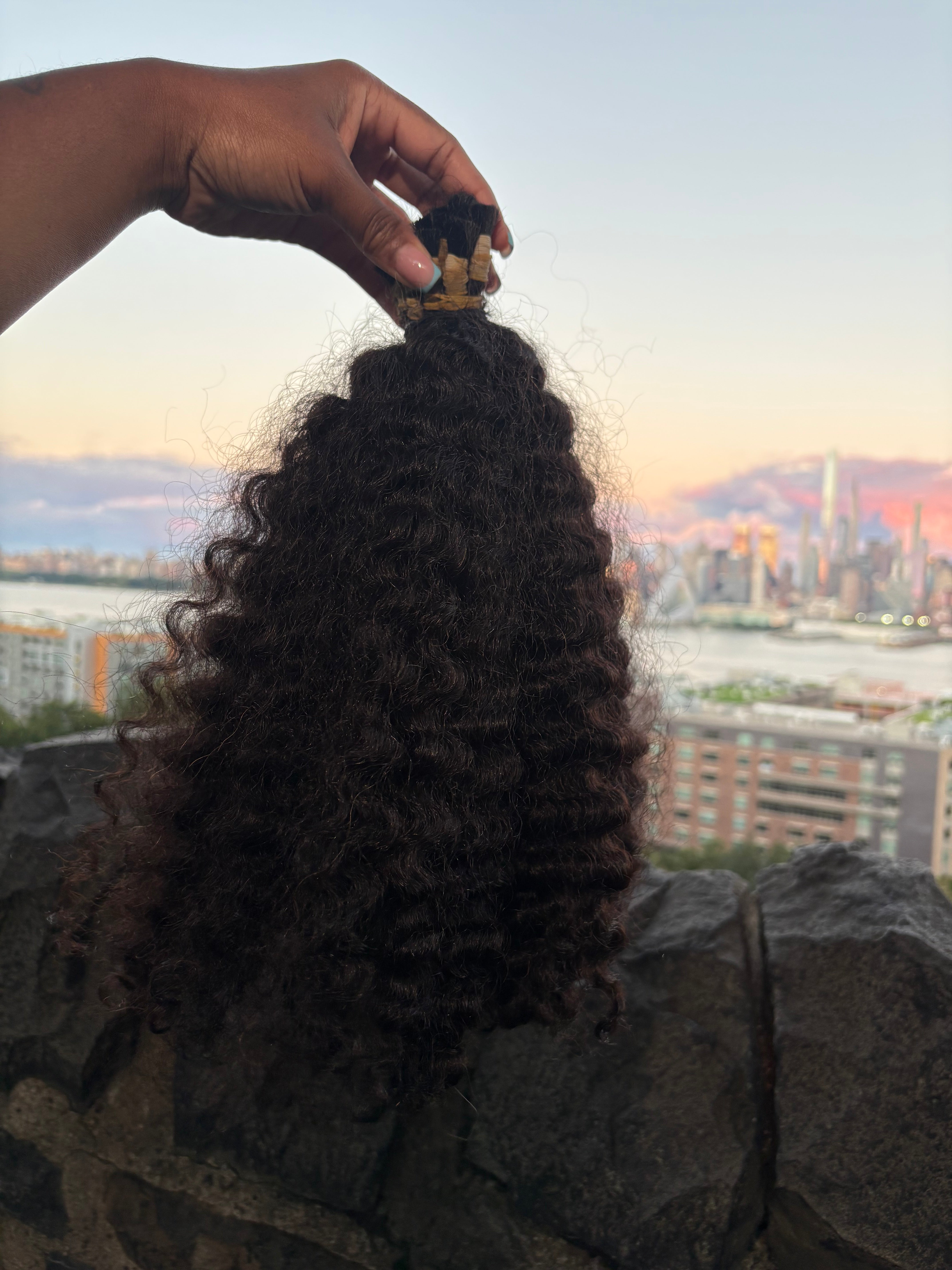 Burmese Curly