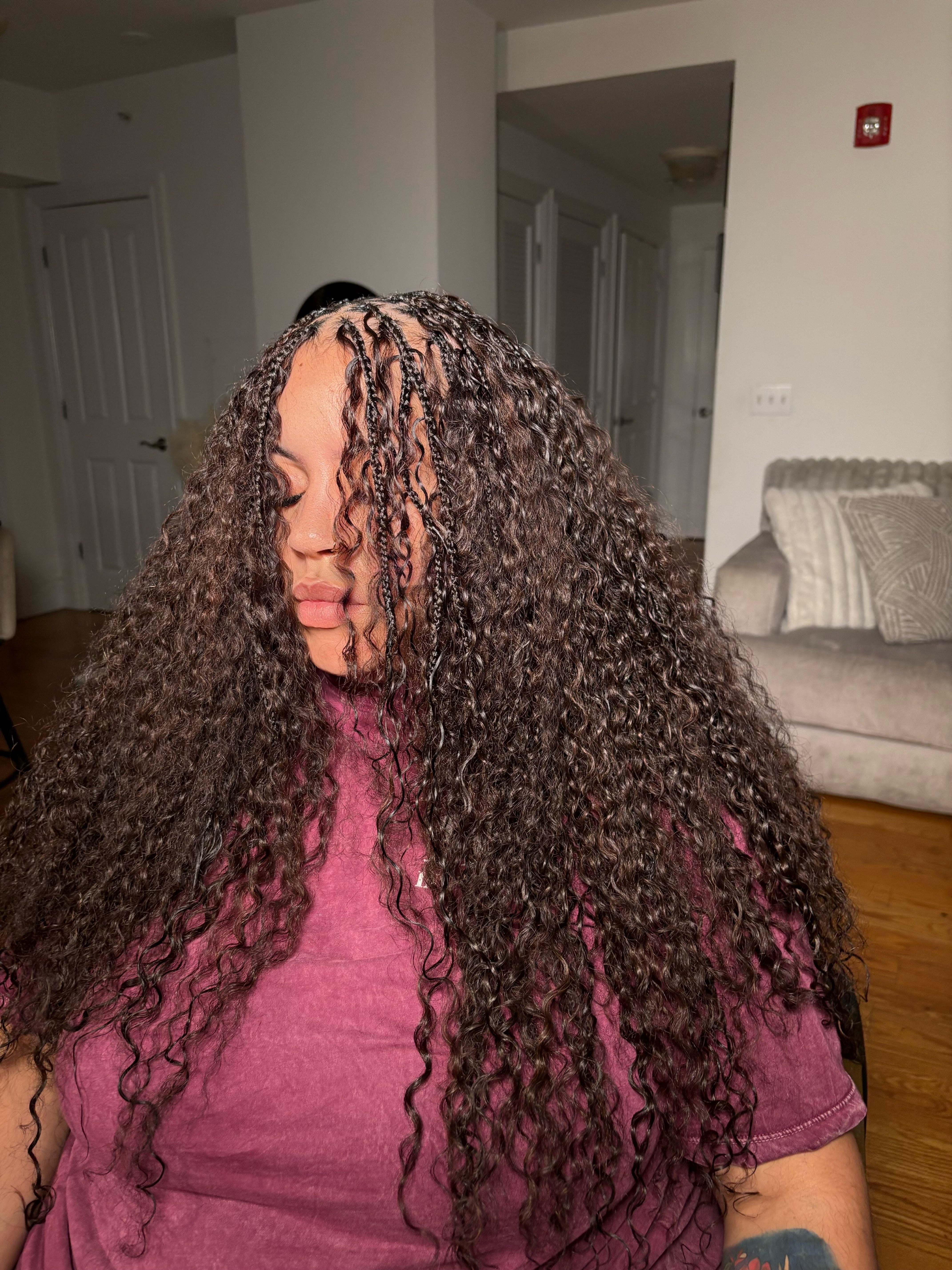 Burmese Curly