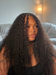 Burmese Curly