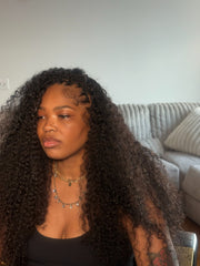 Burmese Curly