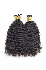 Burmese Curly